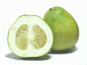 Image: Dai Gor or Citrus Grandis, a mild and delicious grapefruit - Click to Enlarge
