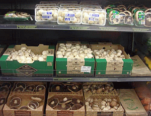 Image: Chinese Button Mushrooms