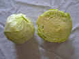 Image: Chinese White Cabbage - Click for Details