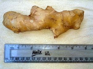 Image: Chinese Ginger - Click to Enlarge