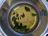 Image: Wild Ground vine leaves tea/soup, a tonic and medicine - Click for Details