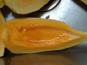 Image: Common Mango or Mok Gwa - Click to Enlarge