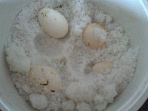 Image: Salt Eggs close up - Click to Enlarge