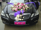 Image: Siu Geue's wedding limo - Click to Enlarge
