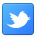 Image: Twitter Logo