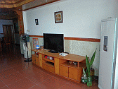 Image: Living room 180, note Siu Ying's plants; still nothing on TV - Click to Enlarge