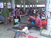 Image: Local wet market picture 4