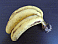 Image: Bananas - click to enlarge