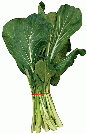 Image: Choi Sum - Click to Enlarge