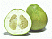 Image: dai gor or Citrus Grandis - click to enlarge