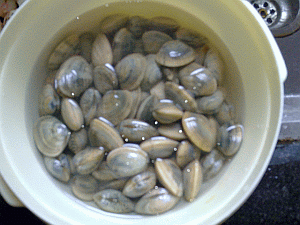 Image: Fa Hin or Chinese Cockles - Click to Enlarge