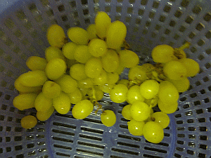 Image: Grapes or 'Tai z'Zhee' - Click to Enlarge