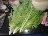Image: Hai Choi or Dandelion leaves - learn how the Cantonese cook them - Click for Details