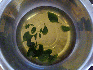 Image: Medicinal leaves served as a Tea tonic - Click to Enlarge