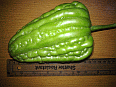 Image: Ooh Gwat is a common Cantonese squash - Click to Enlarge
