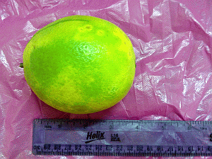 Image: Orlimon, a sort of orange that tastes like mild grapefruit - Click to Enlarge