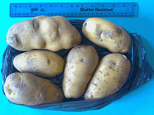 Image: Potatoes - Click to Enlarge