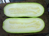 Image: Chinese Marrow or d'Zhit Gwa - Click for Details