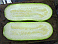 Image: d'Zit Gwa or Chinese Marrow - click to enlarge