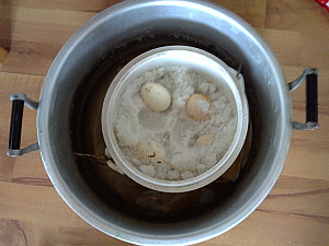 Image: Salt Eggs - Click to Enlarge