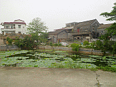 Image: Grandma's Cottage village pond - Click to Enlarge