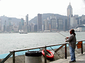 Image: Fishing for food in Kowloon - Click to Enlarge