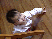 Image: Nonni exploring aged 11 months - Click to Enlarge