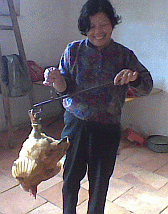 Image: Mama weighing a live hen brfore cooking